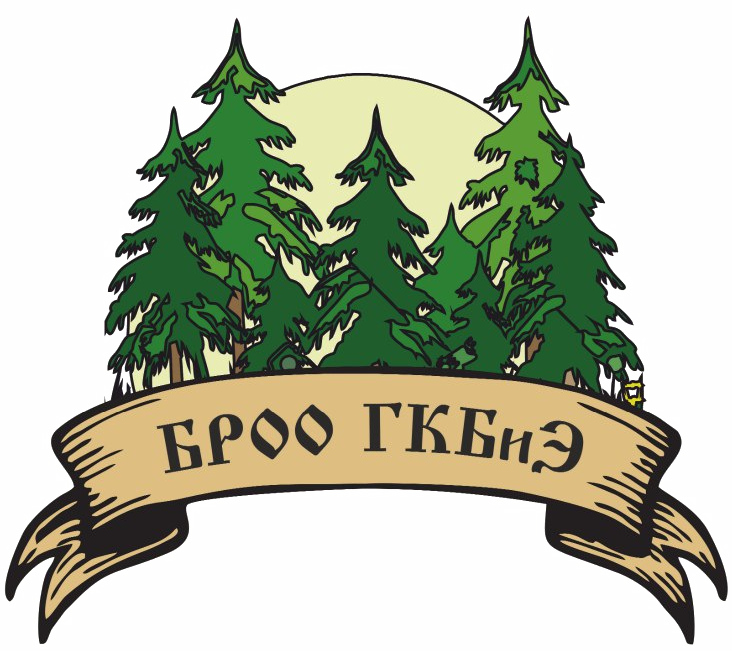 БРОО ГКБиЭ